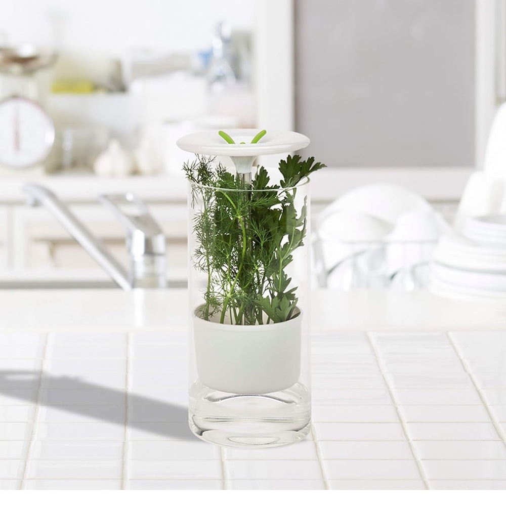 HERB KEEPER GLASS HERB PRESERVER JAR CONTAINER FRESH HERBS